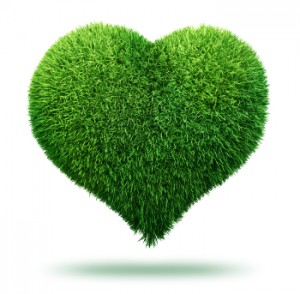 Heart of Grass