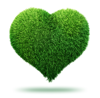 MRW Lawns logo