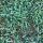 crabgrass weed in lawn