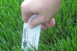 Mower Measure Use a Mower Measure to mow to the right height