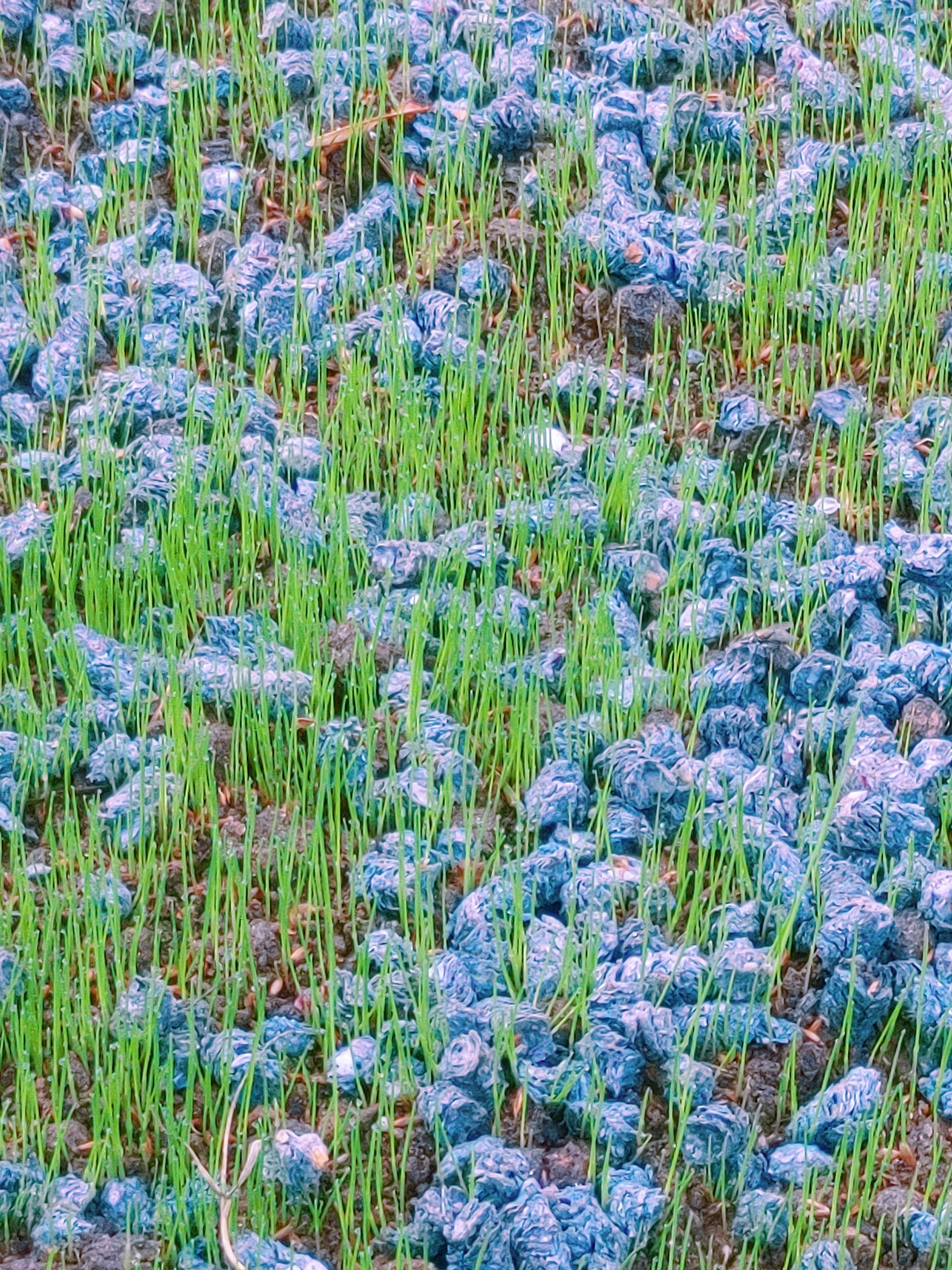 0824201841_Edited(1)