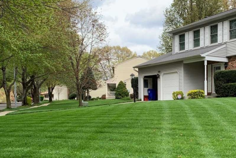 Annual-Lawn-Care-Program A peaceful suburban home with a large, well-maintained green lawn, bordered by trees and a tidy driveway.