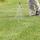 man spraying lawn weed control