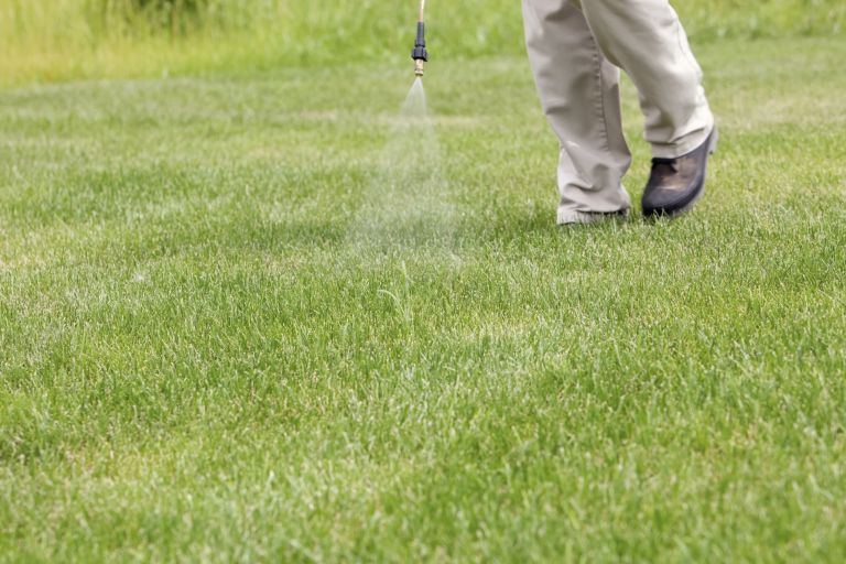 man spraying lawn weed control
